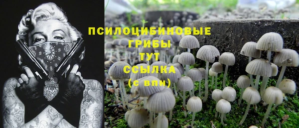 таблы Покров
