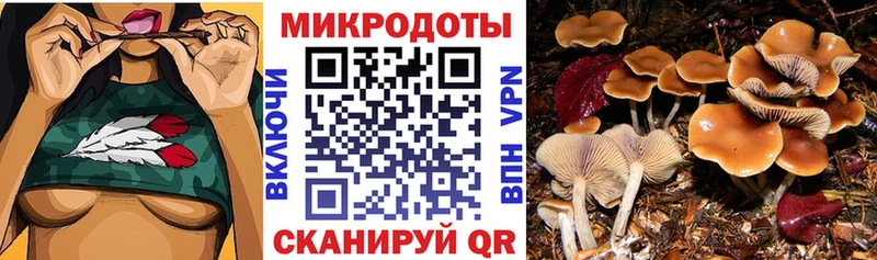 МЕГА   Тырныауз  Галлюциногенные грибы Psilocybe  где купить наркотик 